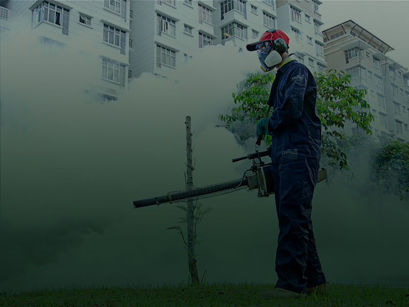Pest-Control